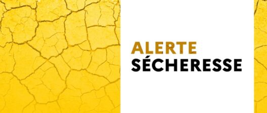 Sécheresse : quelles restrictions d'eau à Champagne ?