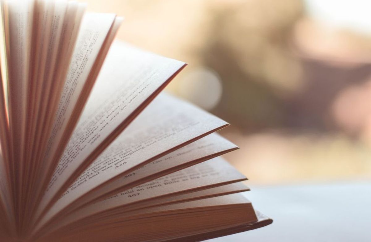 Mardi du livre