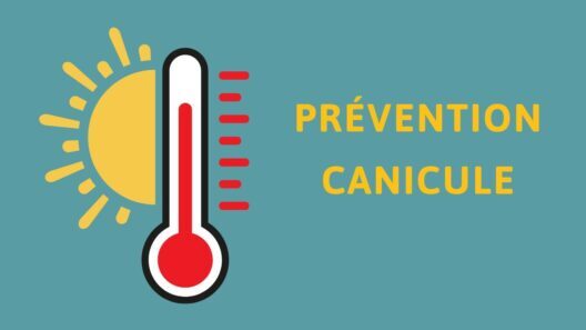 Canicule : un registre nominatif pour aider les personnes fragiles
