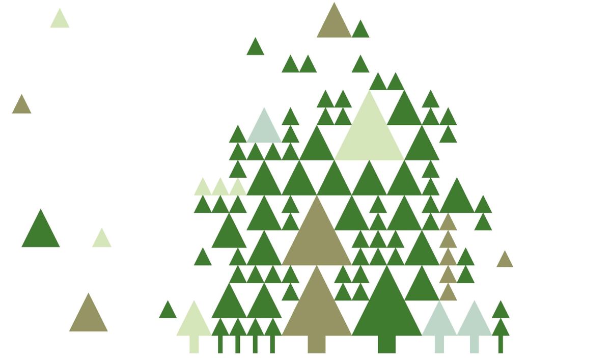 collecte sapins 2026
