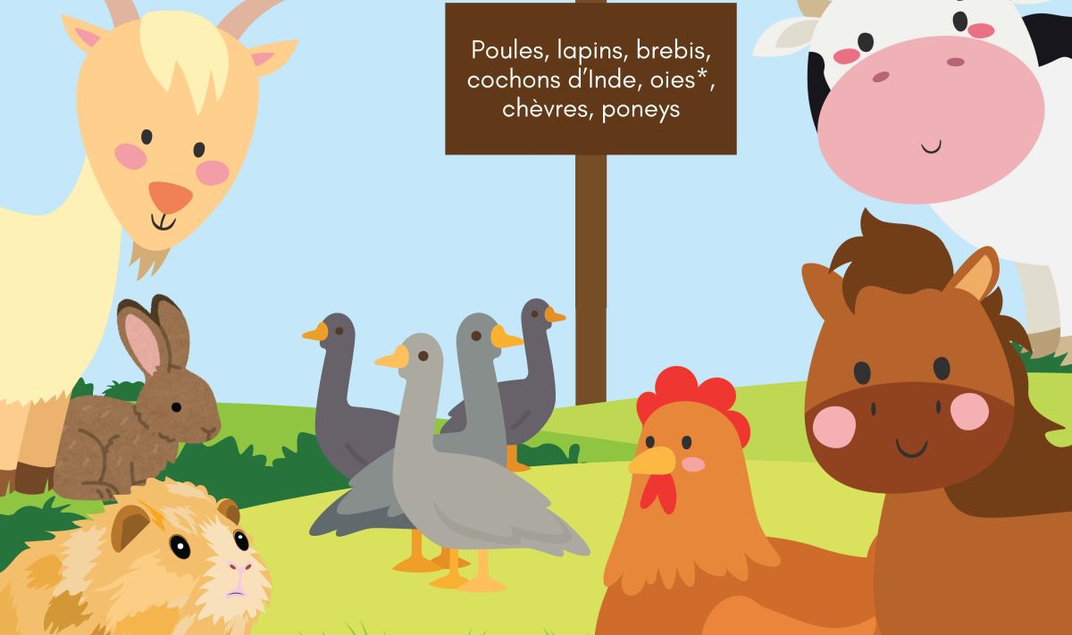 La ferme s'invite au Parc des Loustics